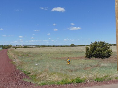 0 N 16th St unit 213147, Show Low, AZ 85901 - photo 2