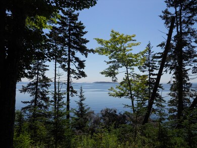 ViewDSCN0478