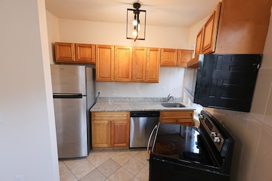 1 Kenilworth St unit 3, Boston, MA 02119 - photo 3