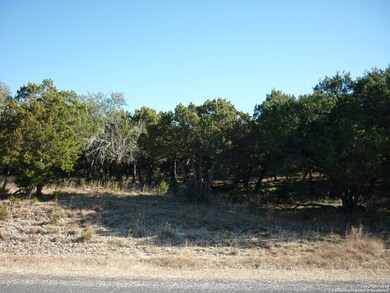 22739 Central Prairie, San Antonio, TX 78255 - photo 4