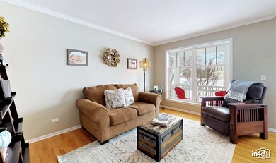 4511 Pipestone Ct, Naperville, IL 60564 - photo 4