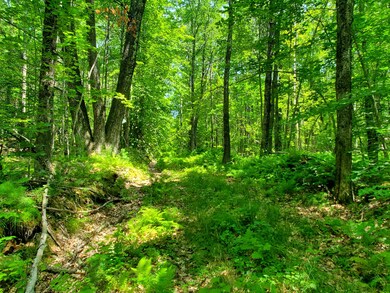 Lot 30 Middle Rd, Waterboro, ME 04087 - photo 7