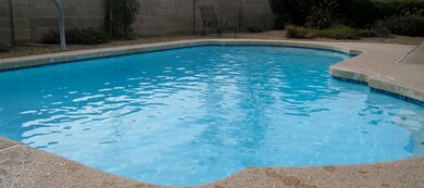 2533 E Evergreen St, Mesa, AZ 85213 - photo 7