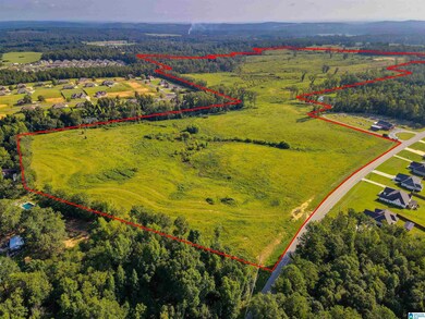 0 New Harmony Rd unit 1359959, Clanton, AL 35045 - photo 5