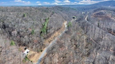 07-DJI_20250321154634_0013_D