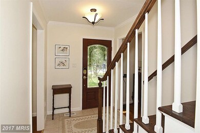 1006 Moss Haven Ct, Annapolis, MD 21403 - photo 6