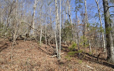Additional View
