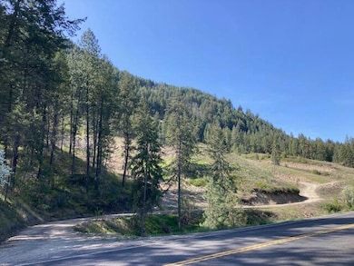 1381 #B Washington 25, Kettle Falls, WA 99141 - photo 3