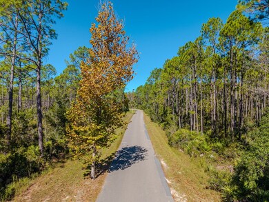 1720 Sugar Hill Ln, Steinhatchee, FL 32359 - photo 6