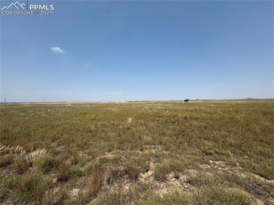 8155 Cowboy Ranch View, Falcon, CO 80831 - photo 6