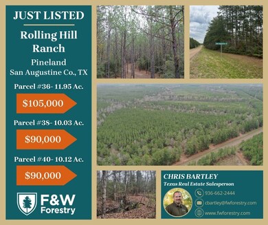 Tract 38 Highway 83, Pineland, TX 75930 - photo 5