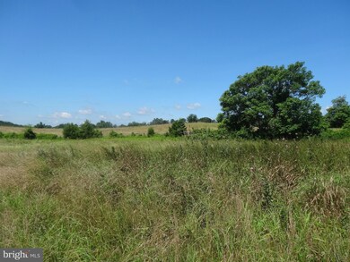 4 Meadow View Ln, Rixeyville, VA 22737 - photo 3