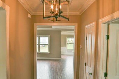 SL162_Carolina_Entry