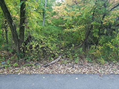 7411 Ash Ave, Gary, IN 46403 - photo 2