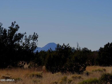 1667 Yukon Dr E unit 22, Ash Fork, AZ 86320 - photo 3