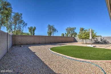 backyard 2