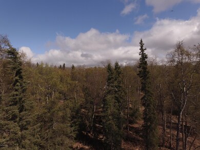 DJI_0029