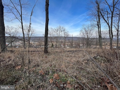 TBD Hummingbird Ln, Capon Bridge, WV 26711 - photo 5