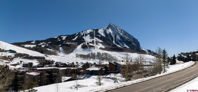 17 Marcellina Ln unit A101, Crested Butte, CO 81225 - photo 4