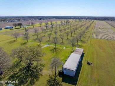 1623 Anse Broussard Hwy, Breaux Bridge, LA 70517 - photo 4