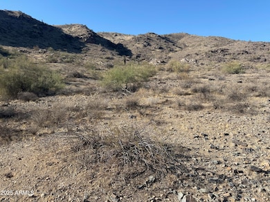 3670 E Highline Canal Rd, Phoenix, AZ 85042 - photo 3