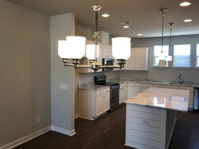 Dining Lighting