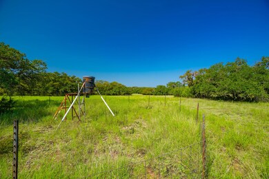 2901 County Road 228, Florence, TX 76527 - photo 7