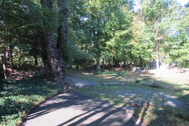 29 Butler St, Cos Cob, CT 06807 - photo 6