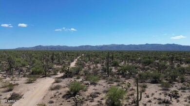 DJI_0125