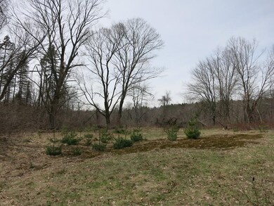 209 Wales Rd, Monson, MA 01057 - photo 3