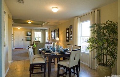 10314 McQueeney, San Antonio, TX 78252 - photo 4