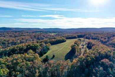 31025 Highway 263, Mountain View, AR 72560 - photo 6