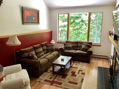 459 Woods Ln unit D-4, Killington, VT 05751 - photo 2