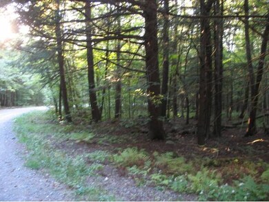 5 Norrie Davies Rd, Cavendish, VT 05142 - photo 3