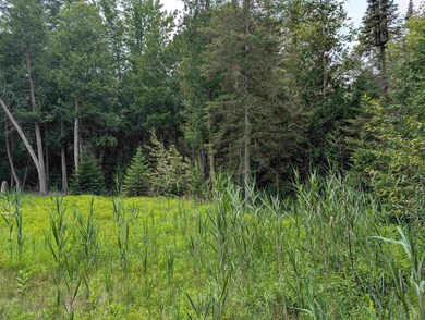 0 Sherwood Dr unit Cedar Brook Dr, Oscoda Township, MI 48750 - photo 4