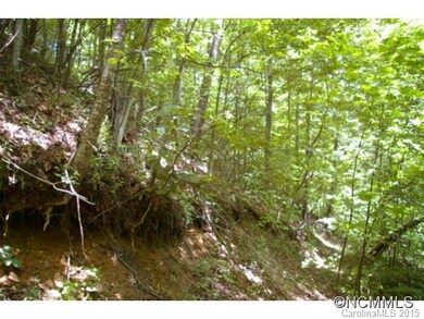 0 Roaring Fork Rd unit NCM579079, Burnsville, NC 28714 - photo 4