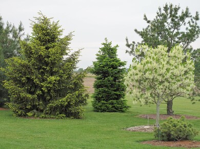 13412 County Road 88, Wapakoneta, OH 45895 - photo 2