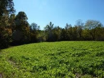 Food Plot
