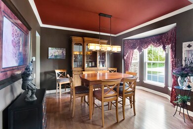 3950 Georgetown Cir, Algonquin, IL 60102 - photo 4