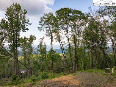 Lot T5 Timber Rock Trail, Banner Elk, NC 28604 - photo 2
