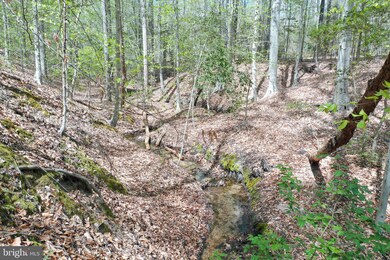 0 Reservation Ln, Reedy Church, VA 22546 - photo 3