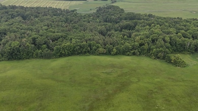 TBD 40th St, Clayton, WI 54004 - photo 6