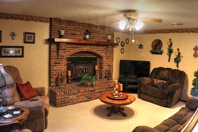 1011 S Elm St, Mountain View, MO 65548 - photo 6