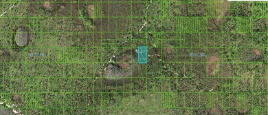 0 N A unit MFRO6264659, Frostproof, FL 33843 - photo 3