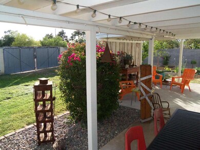 Patio 3 (2)