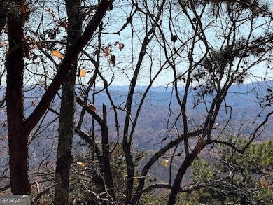 0 John Call Rd unit 10646302, Talking Rock, GA 30175 - photo 2