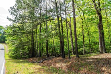 0 Apalachee Woods Trail unit 67733, Buckhead, GA 30625 - photo 7