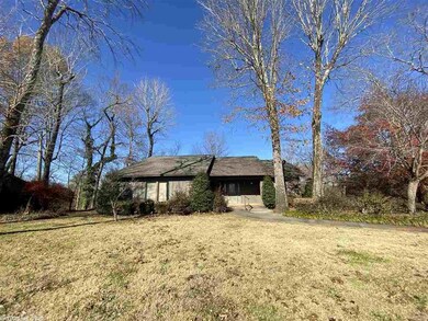 W Riverland Dr, Heber Springs, AR 72543 - photo 2