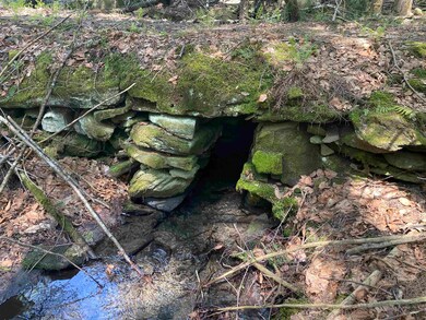 00 Minard Rd, Westminster, VT 05346 - photo 2