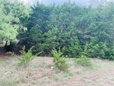 18183 Wildwood Dr, Whitney, TX 76692 - photo 4